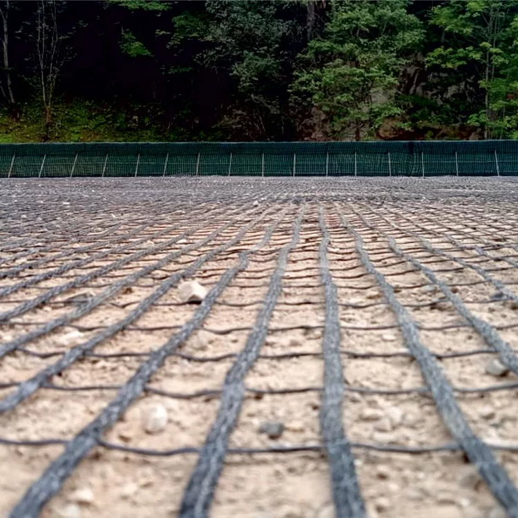 Tek Yönlü Geogrid
